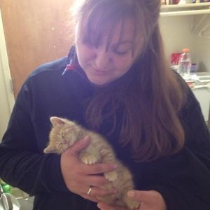 Meet your Posher, Wendy